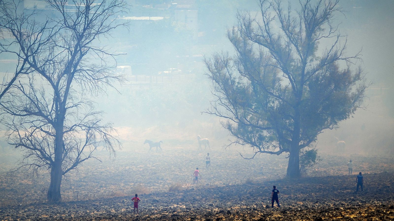 El fuego llega a las  casapuertas en Jerez