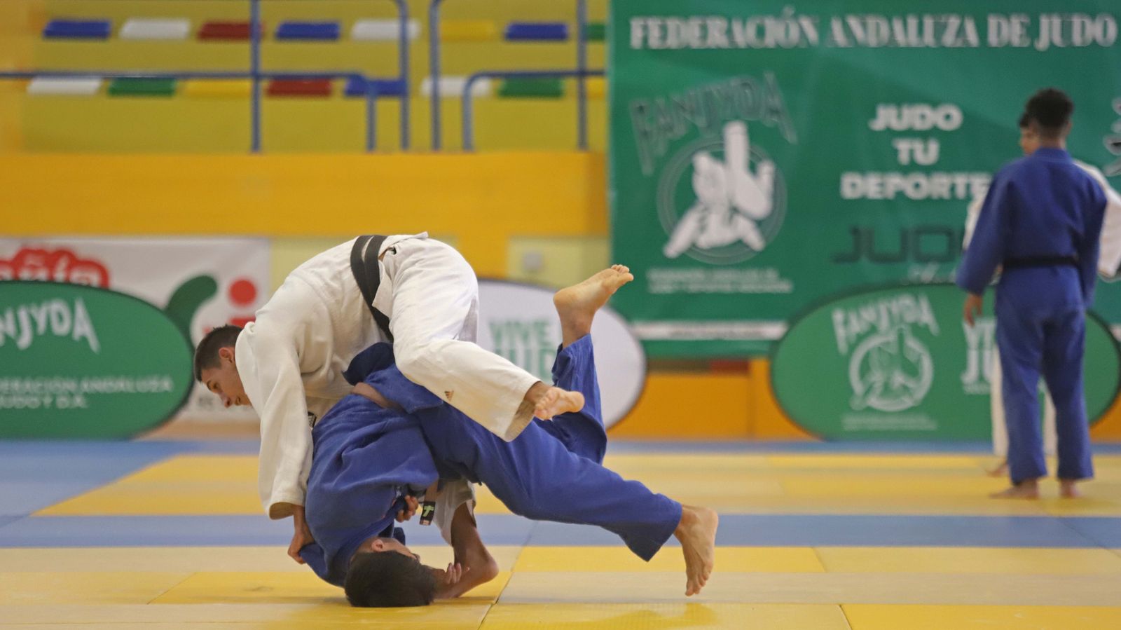 Fotos del Campeonato de Andalucía de Judo en La Línea