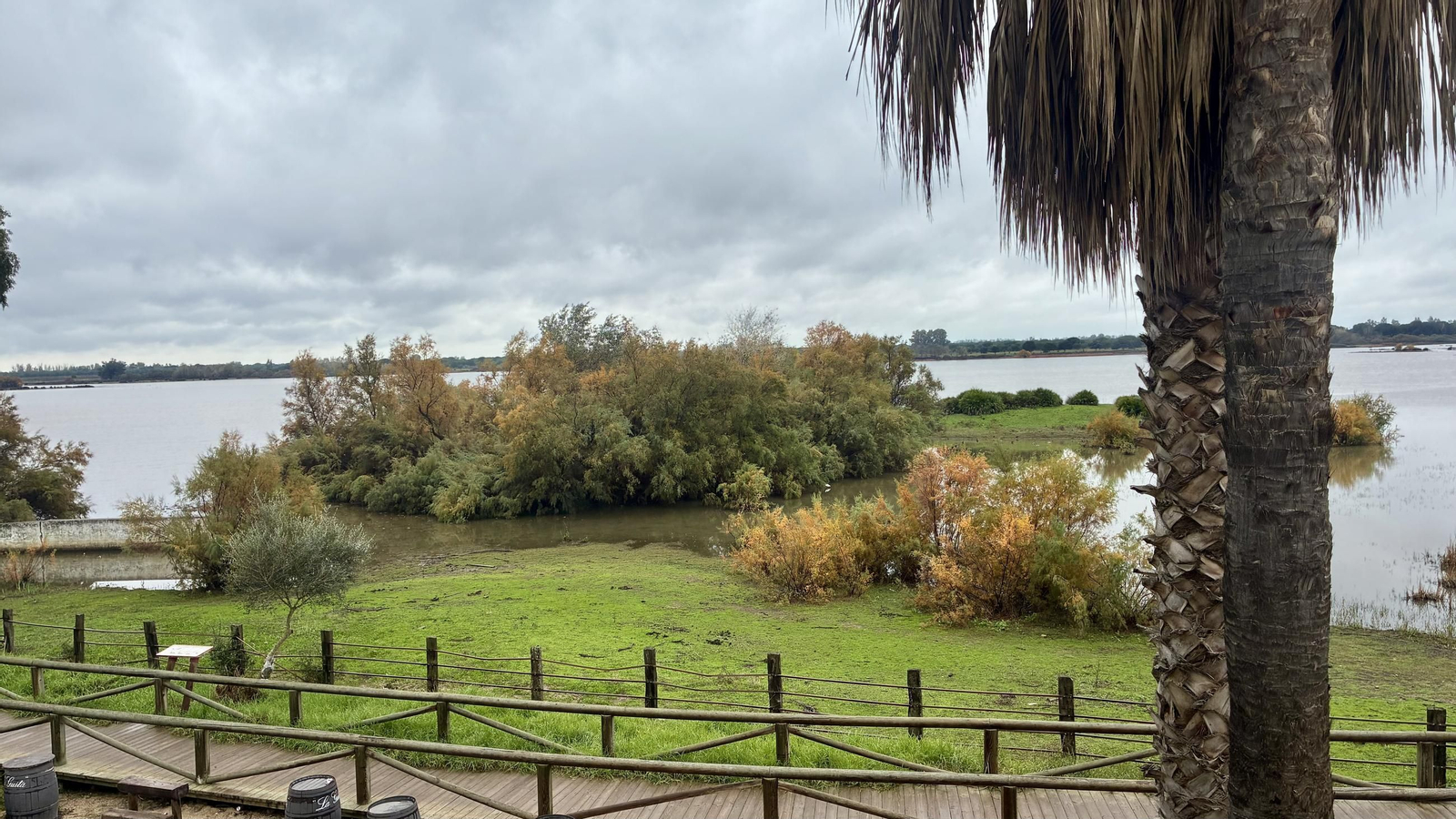 La marisma de Doñana.