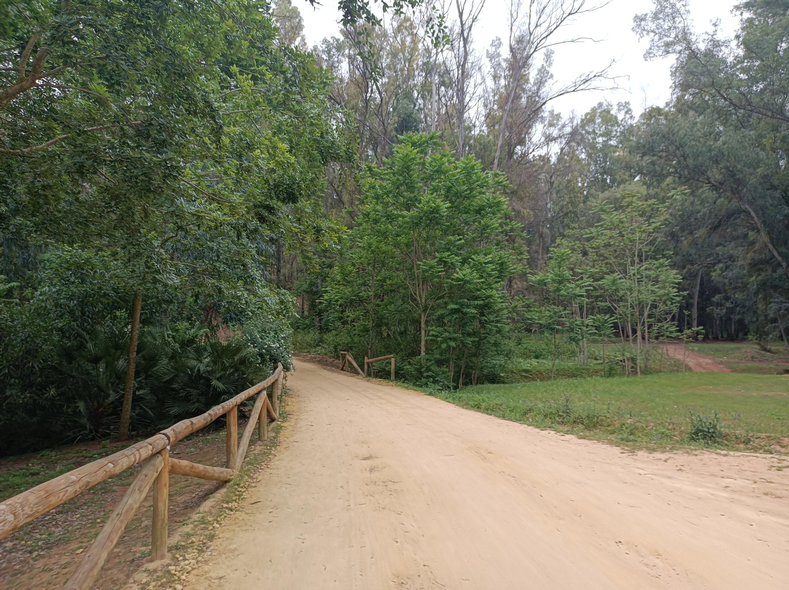 Ruta por el Guadaíra, en Alcalá