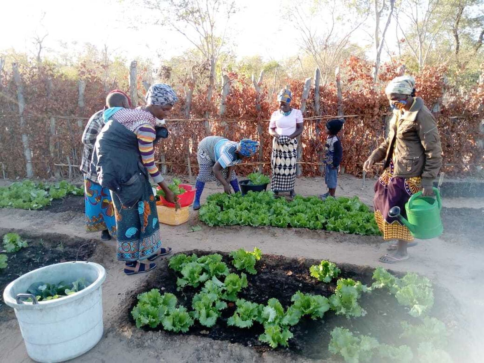 El proyecto de Madre Coraje y la AACID forma a los campesinos para que tengan una alimentación adecuada