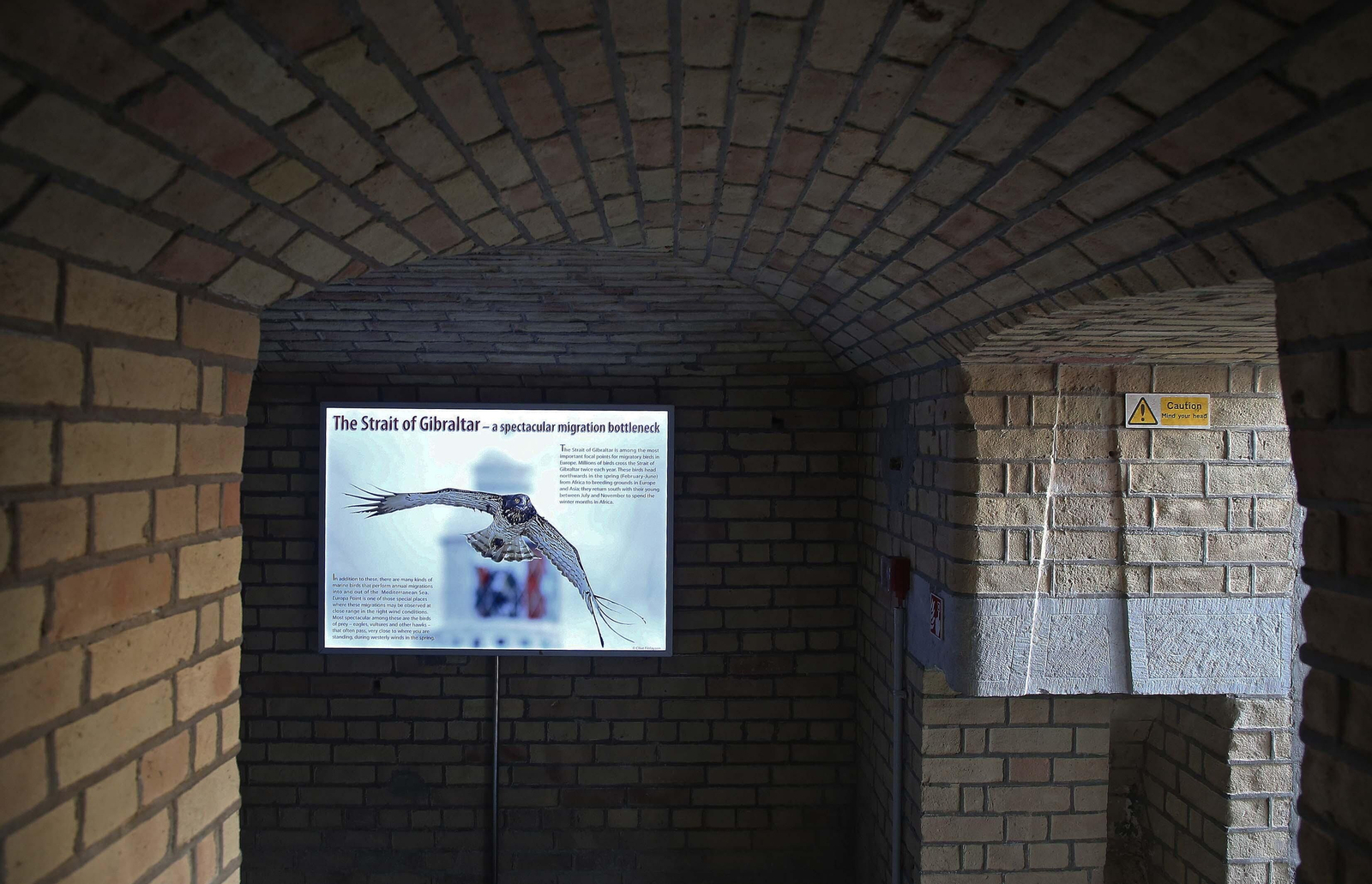 Fotos de Punta Europa en Gibraltar