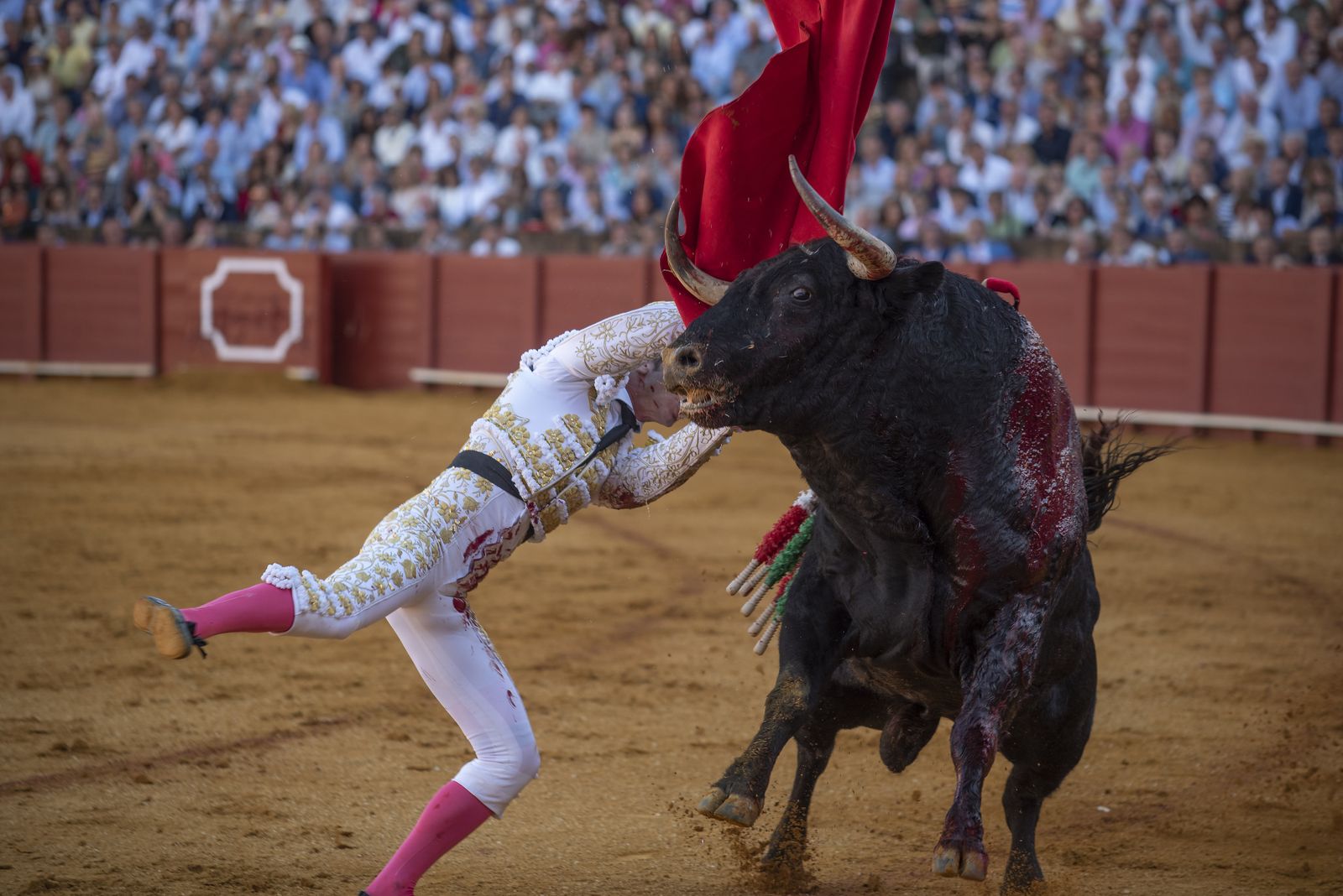 Las imágenes de la segunda corrida de la Feria de San Miguel