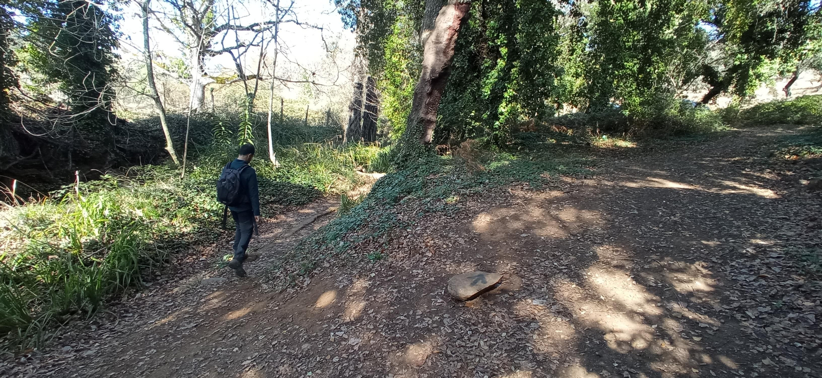 Las imágenes de la ruta de la cascada de Jollarancos y bosque de las letras