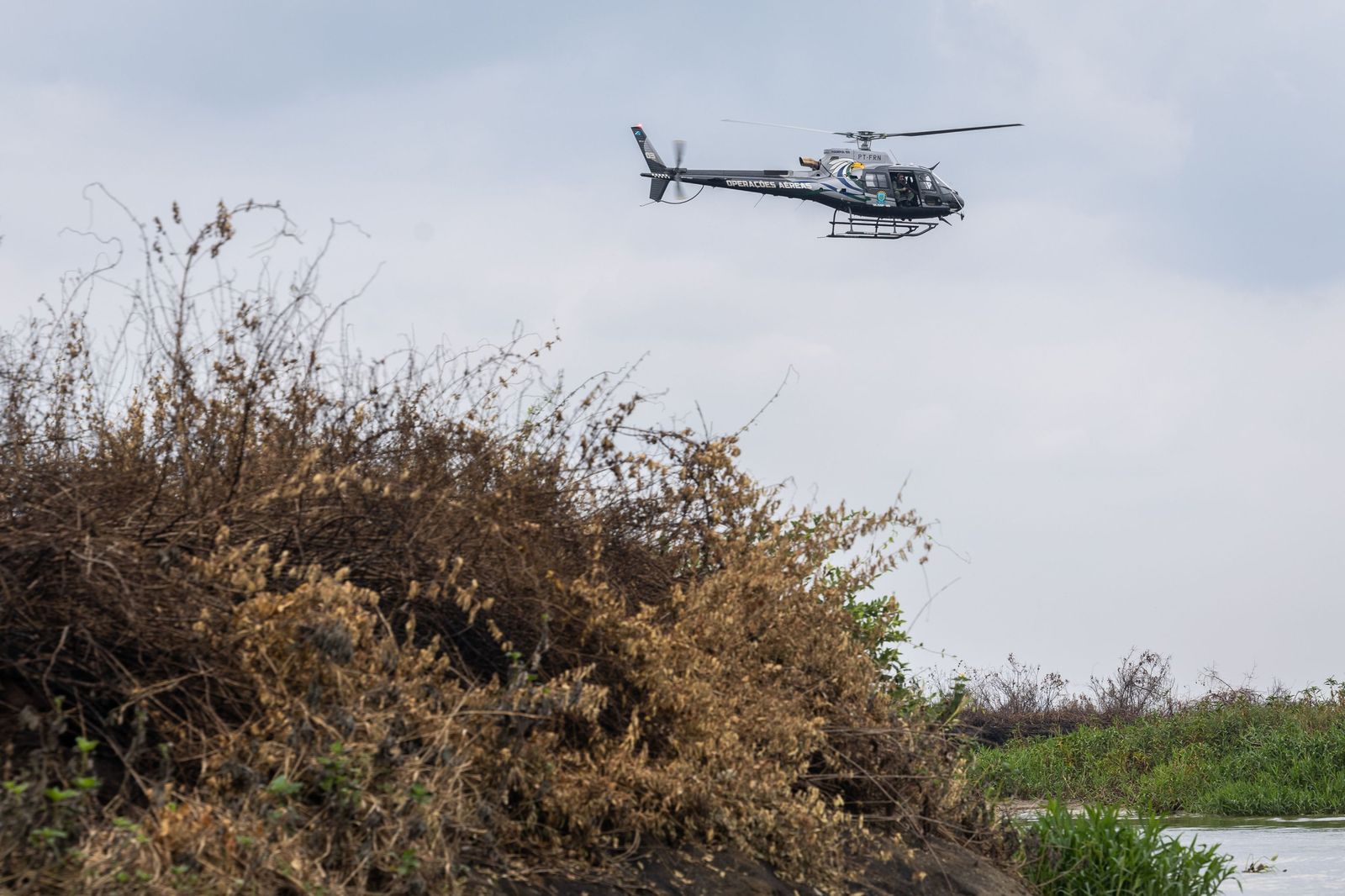 Las llamas convierten en una tumba al aire libre El Pantanal en Brasil