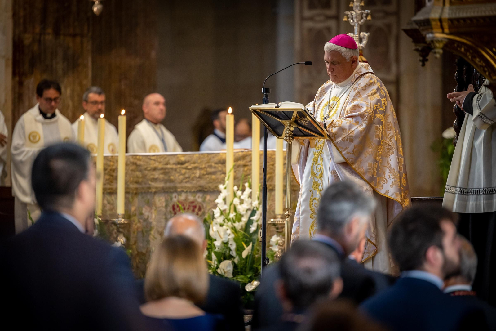 Imágenes de la coronación de la Virgen de las Penas