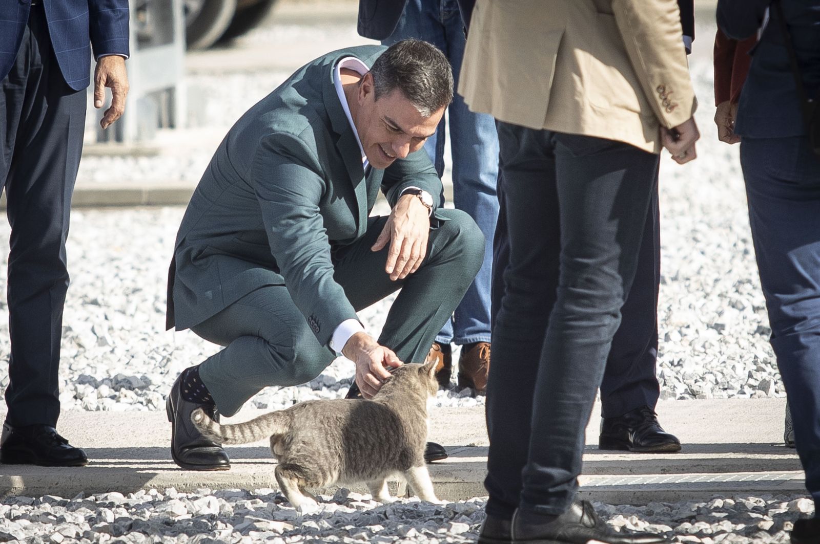 Pedro Sánchez acaricia un gato durante el acto de inauguración de la autopista eléctrica en Baza