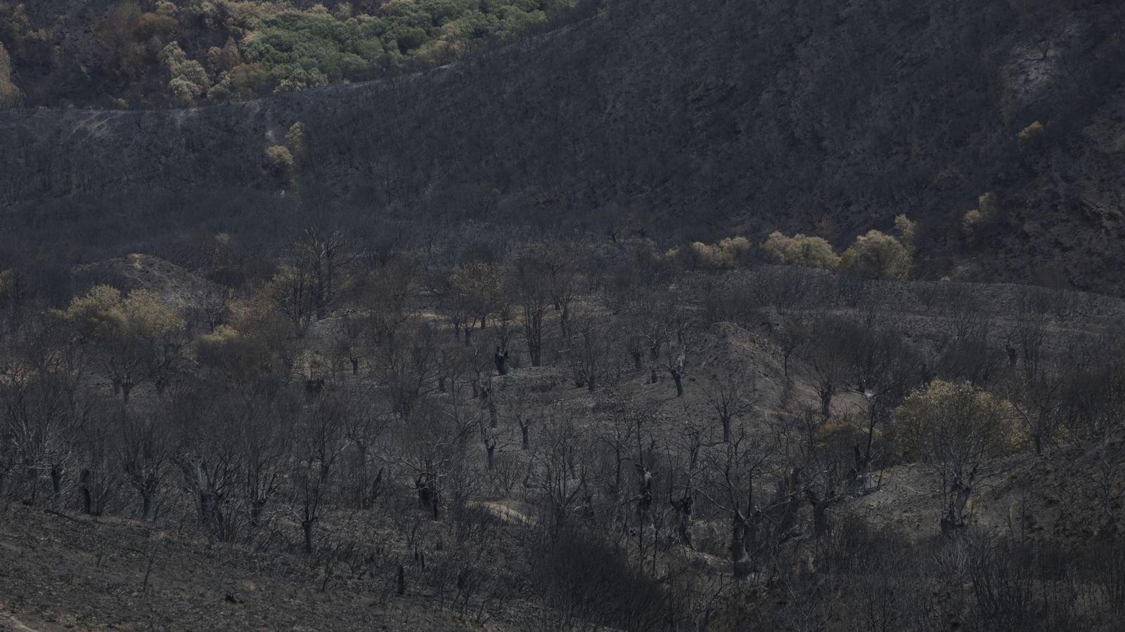 Vista de la zona arrasada por el fuego en Las Médulas.