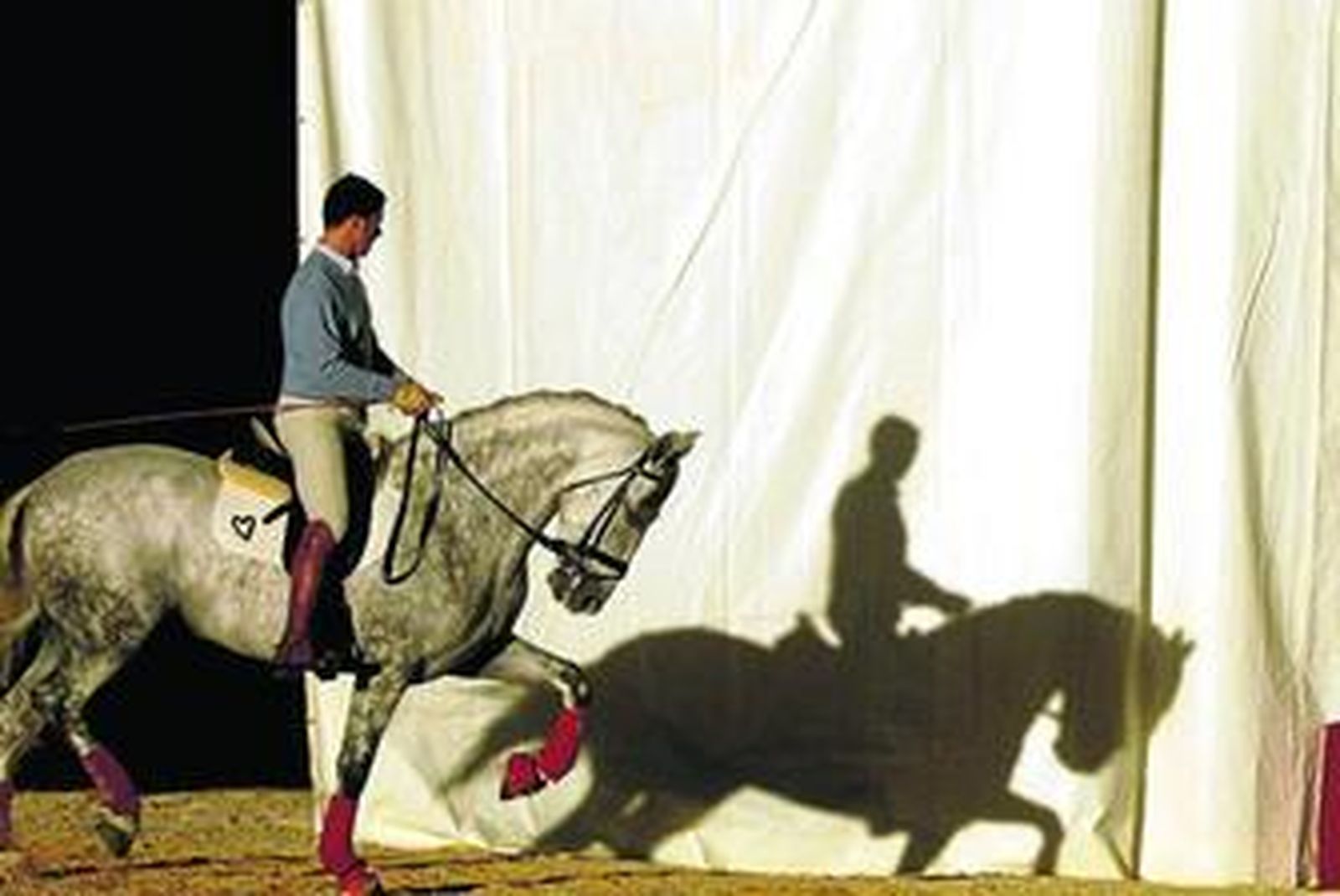 Un jinete que participa en el espectáculo de Sicab, durante los últimos ensayos en la tarde de ayer.