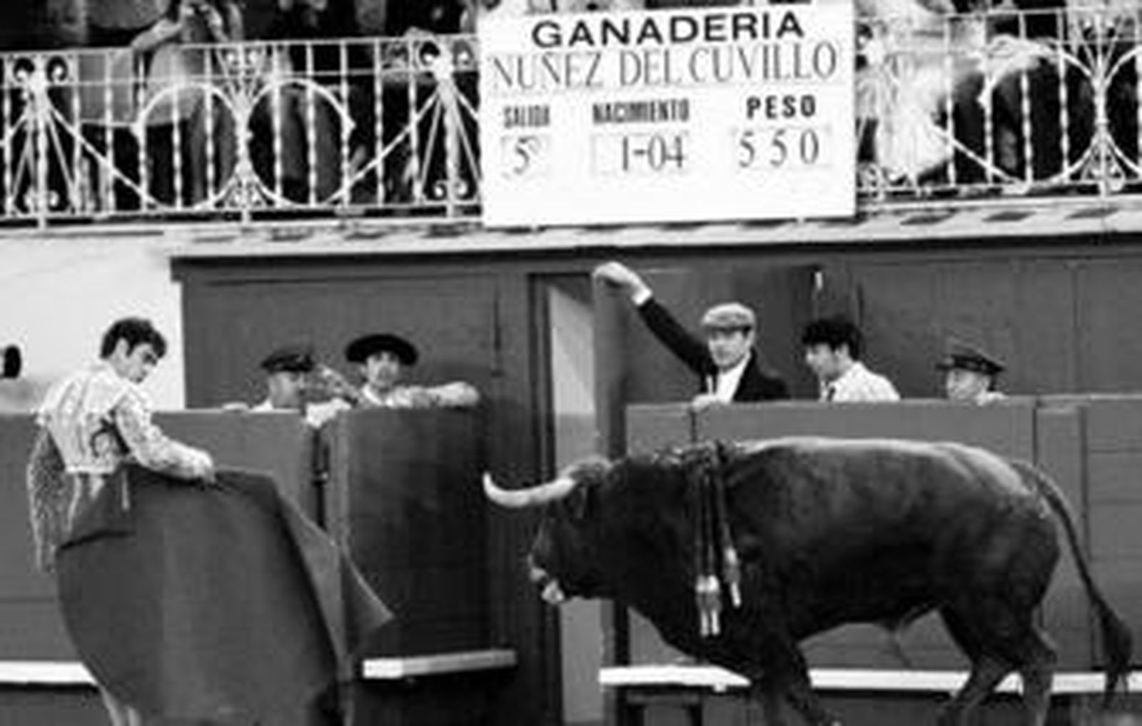 José Tomás llevando al toro 'Idílico', de Núñez del Cuvillo, indultado, hasta la puerta de toriles.