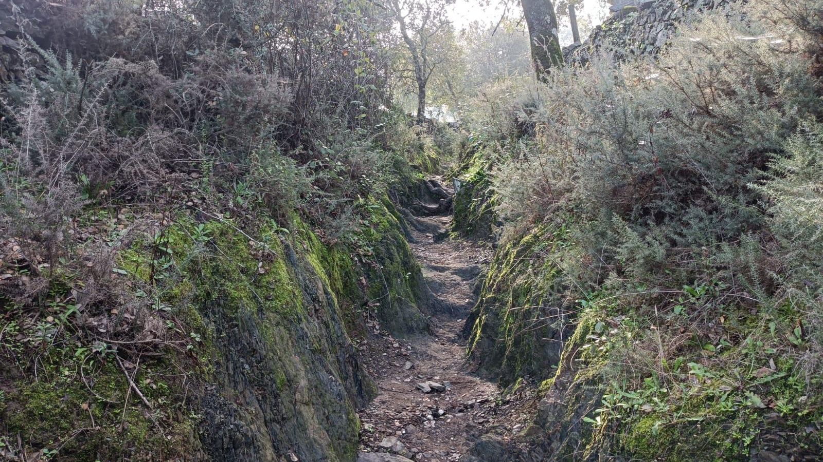 El camino progresa entre paredes de piedra.