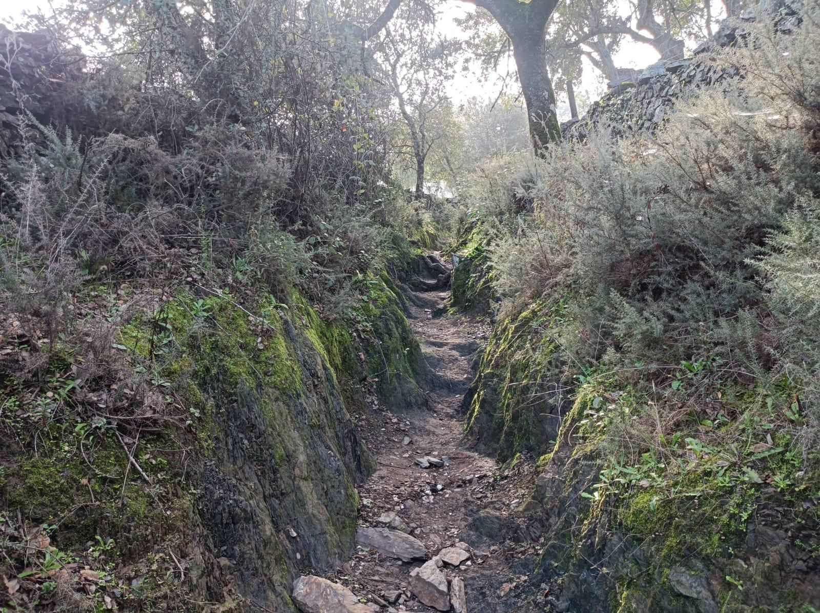 El camino progresa entre paredes de piedra.