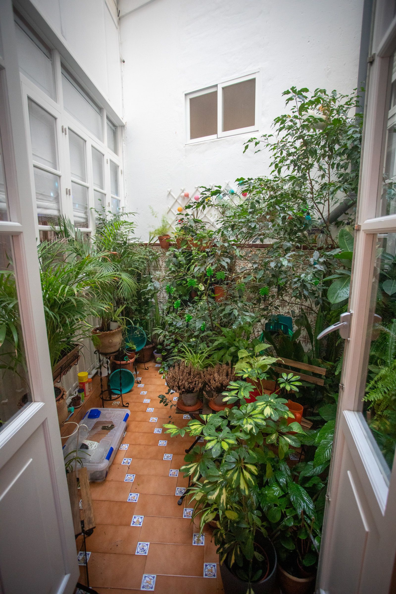 Las imágenes de la vivienda de Alberto Romero y Yolanda Vallejo