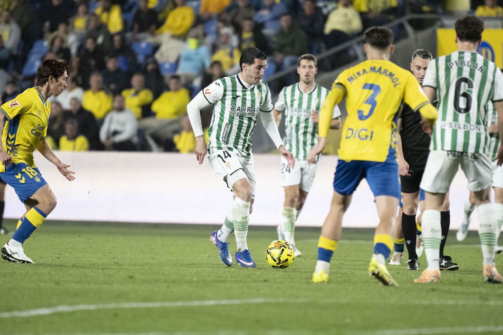 Las mejores fotos del triunfo del Córdoba CF ante Las Palmas