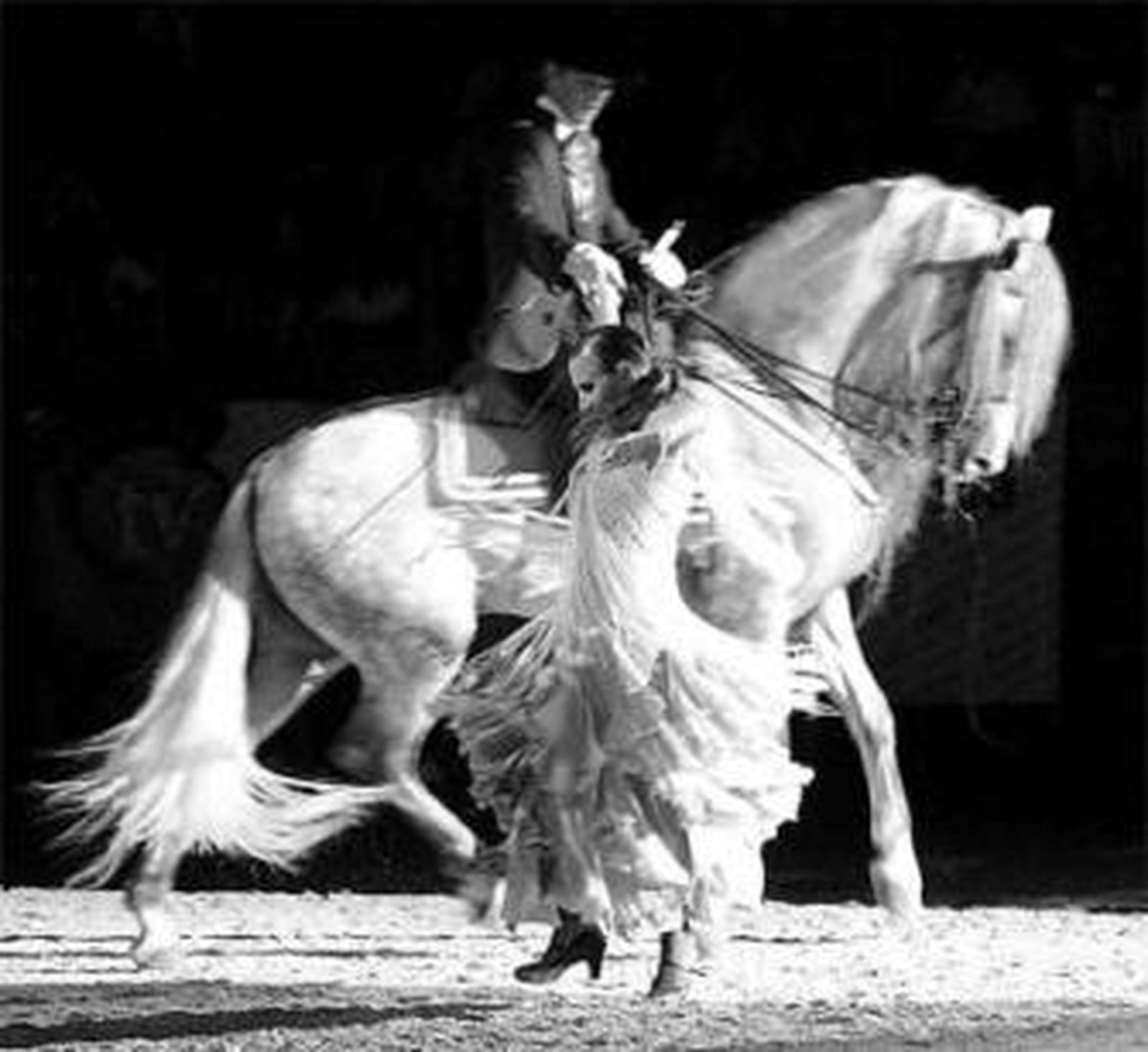 Imagen del espectáculo 'Passionata Andaluza'.