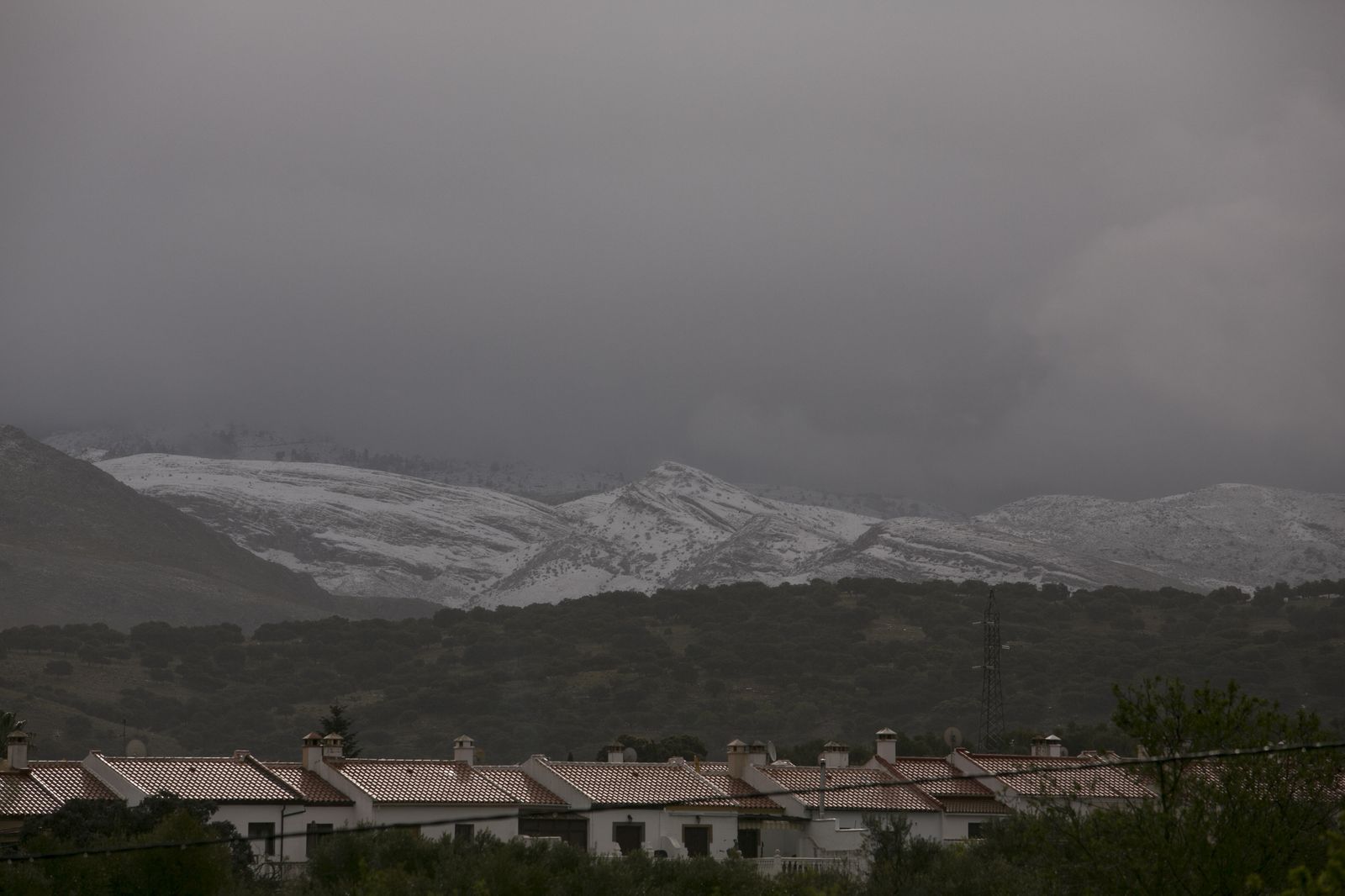 Nieve en la Serranía de Ronda