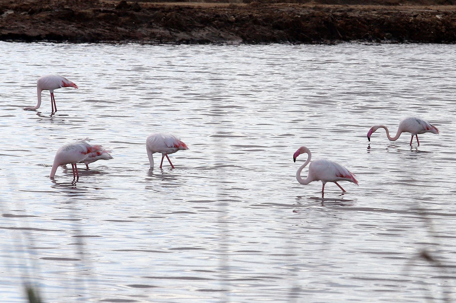 Las imágenes más destacadas del martes 19 de abril en Huelva
