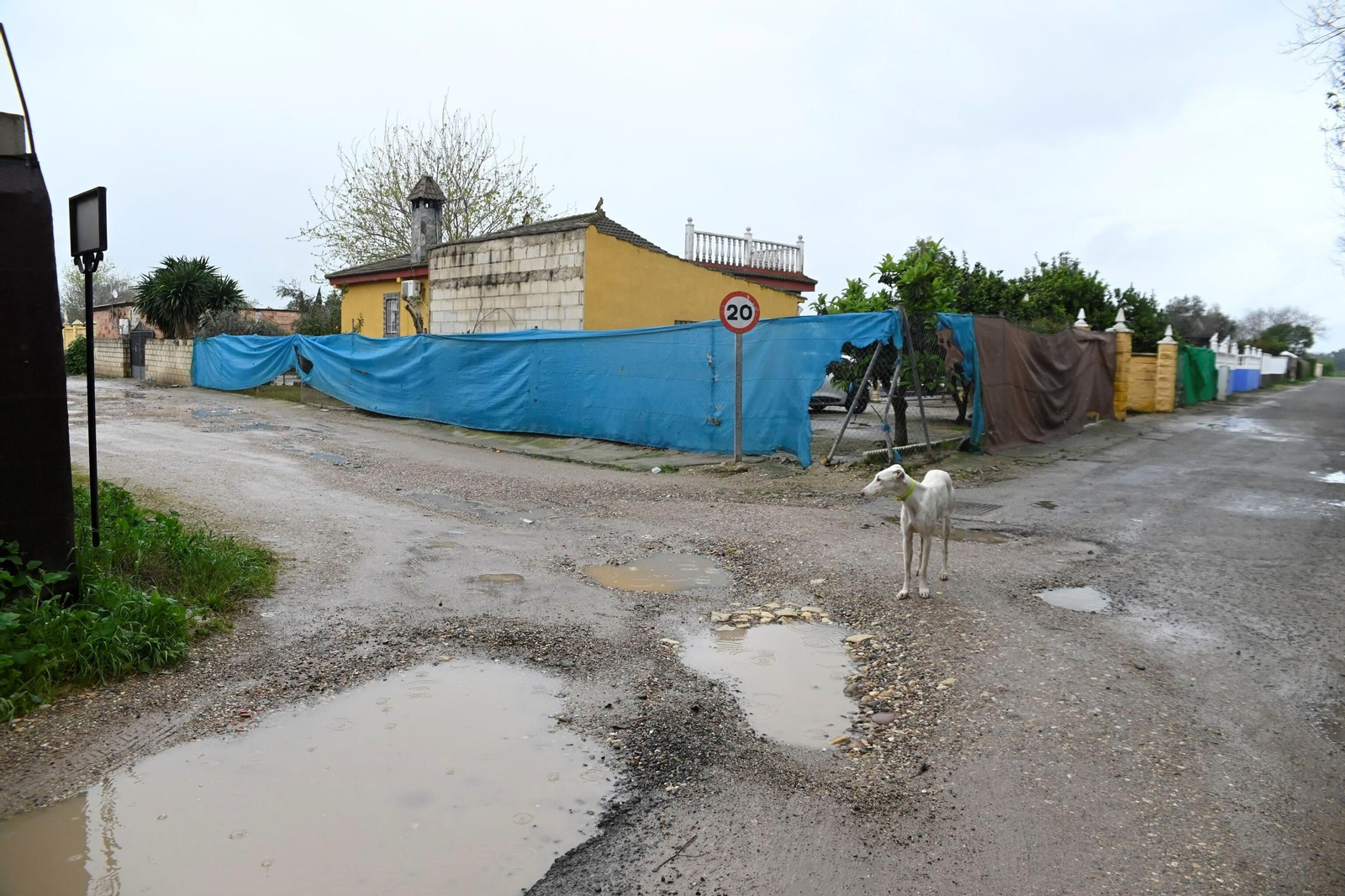 La parcelación de Guadalvalle tras el paso del temporal