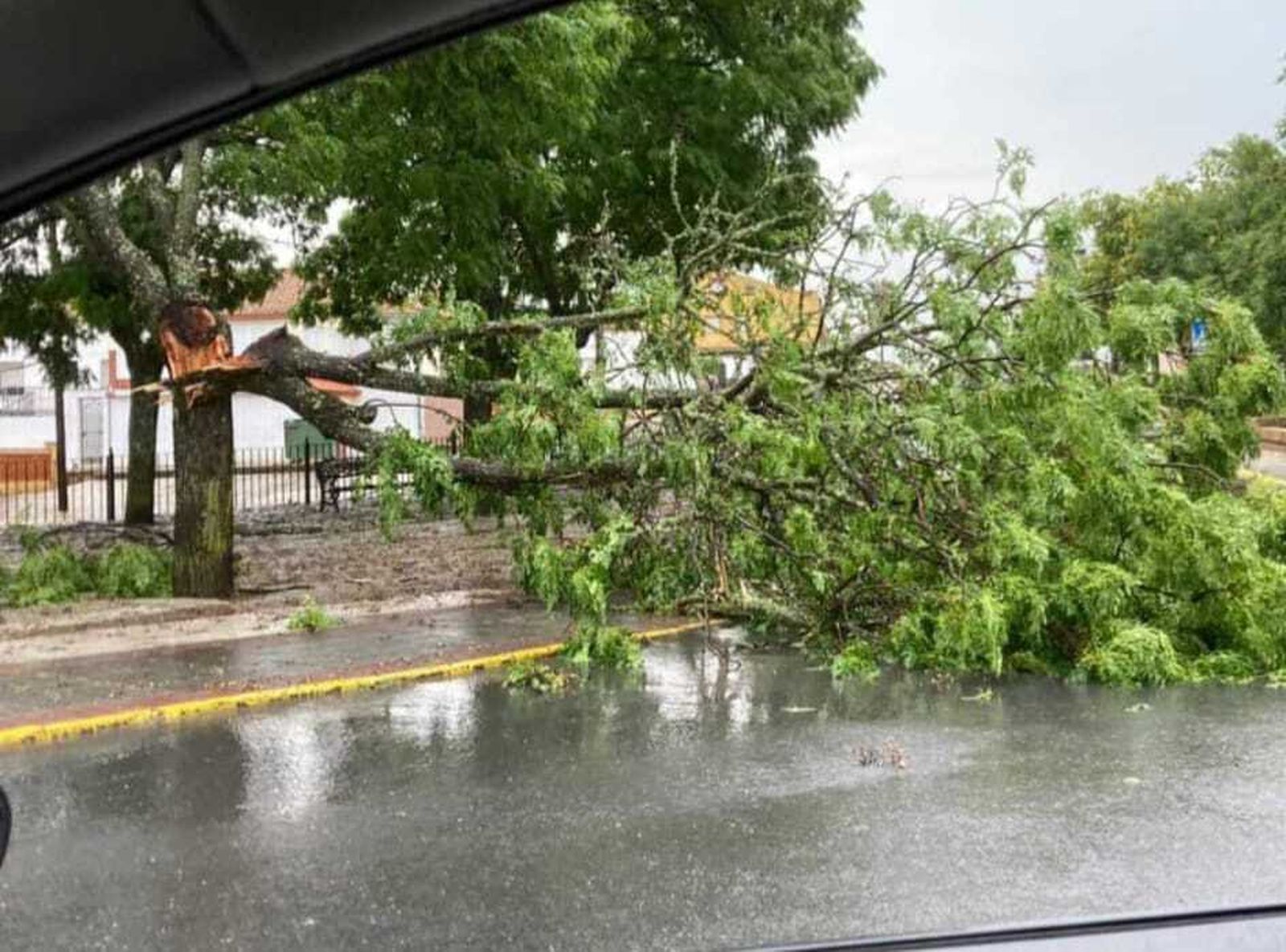 El fuerte temporal de lluvia y granizo arrasa árboles y causa desperfectos en Tharsis