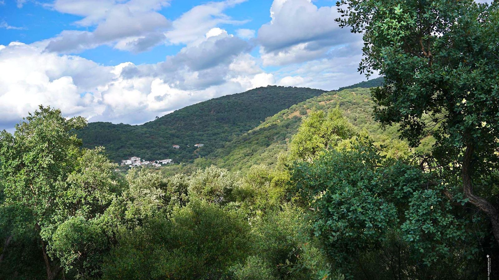 Entorno de El Arroyo