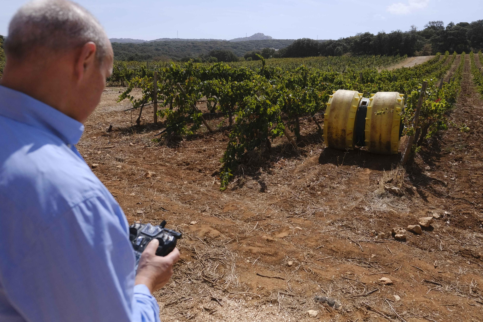 Rover realizando uno de sus recorridos por el viñedo.