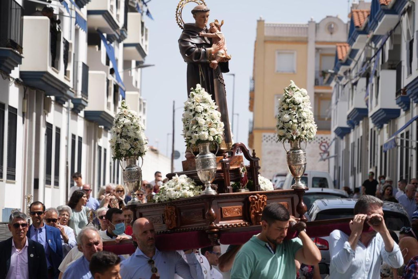 Las mejores imágenes de la procesión de San Antonio en Pozoblanco