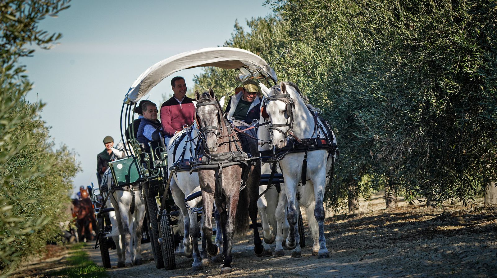 I Ruta de Carruajes Viñas de Jerez