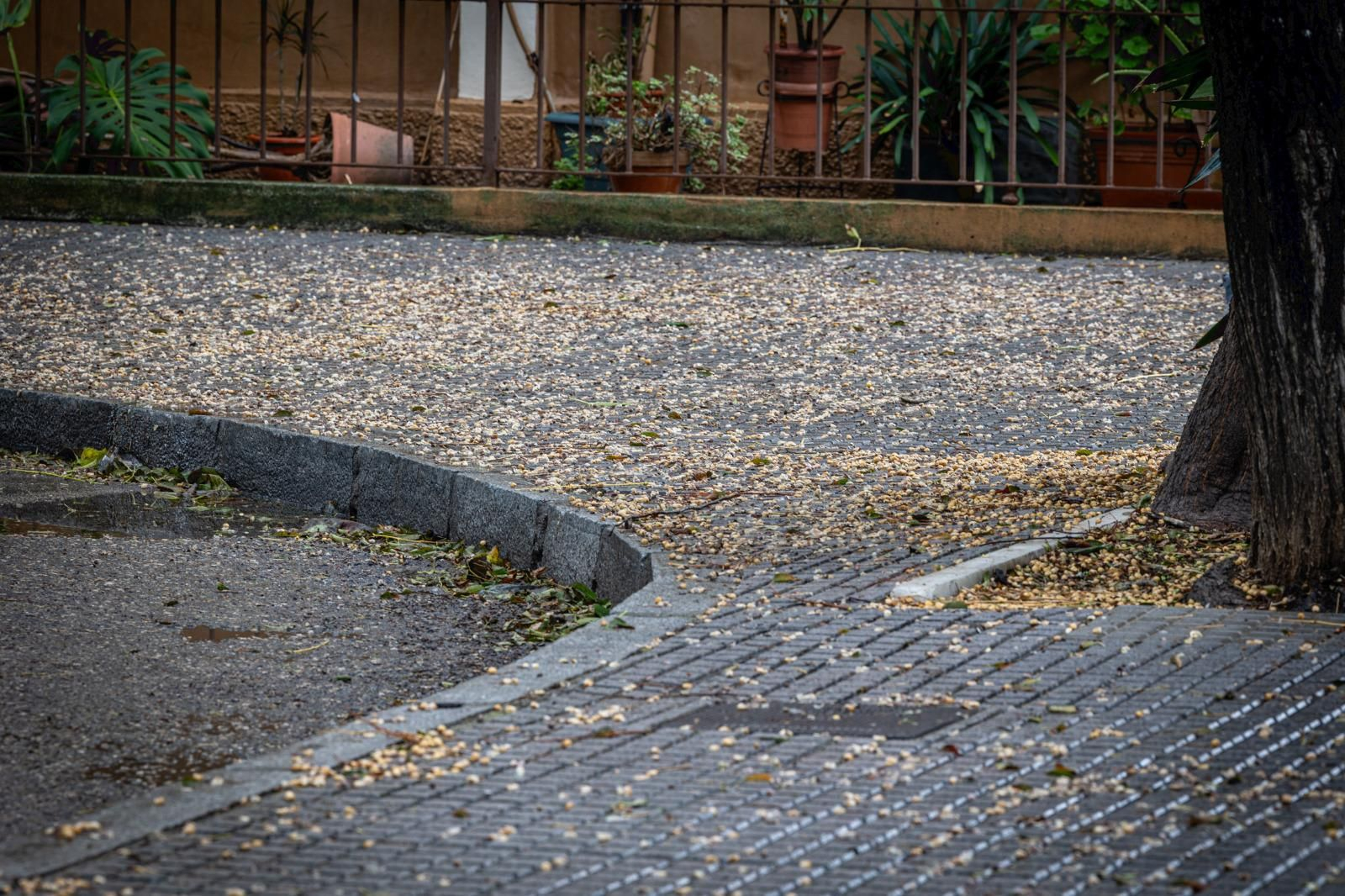 Los daños aún visibles del temporal Bernard en Cádiz
