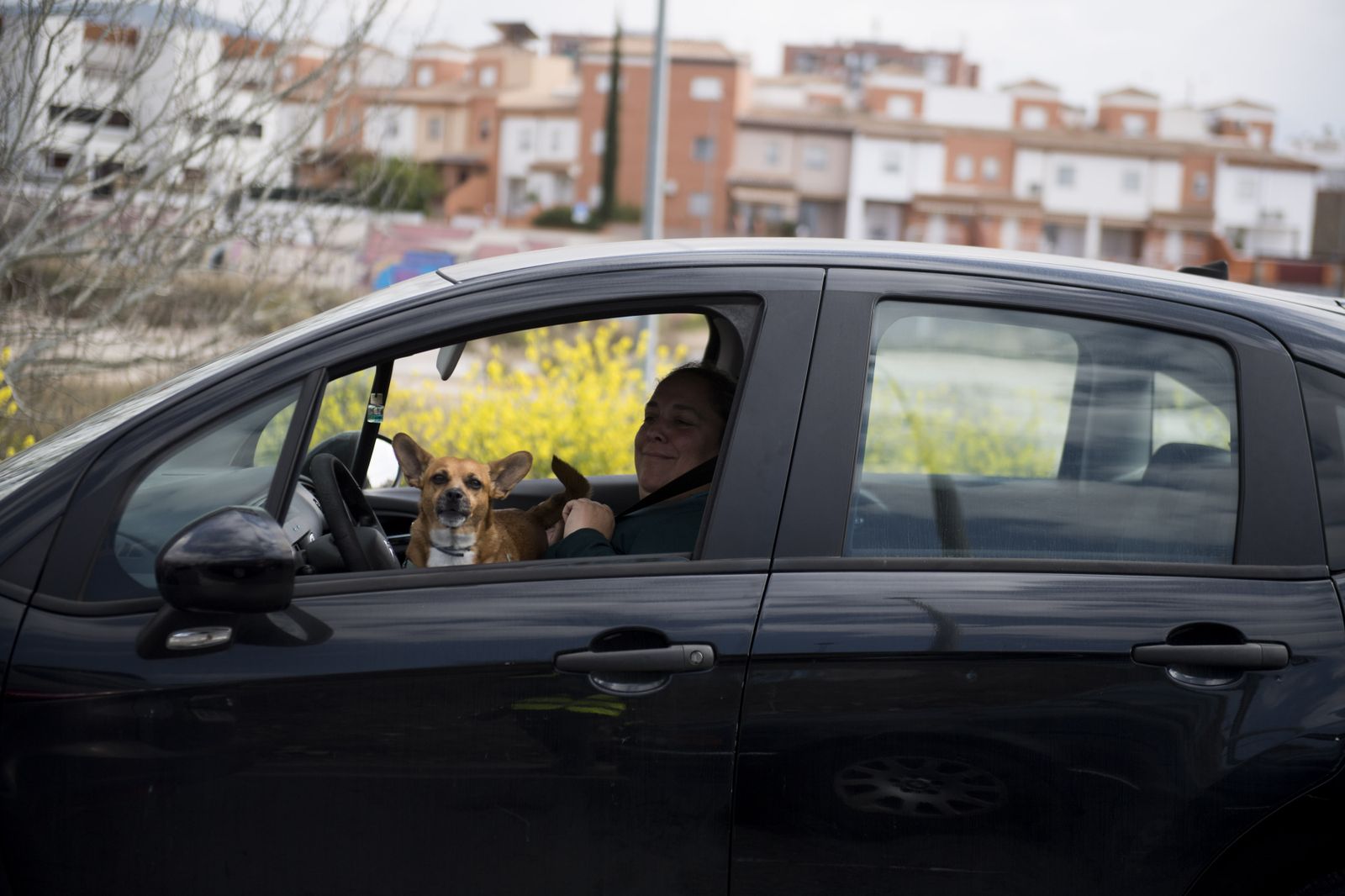 Curiosidades: las mejores fotos de la manifestación del campo en Granada