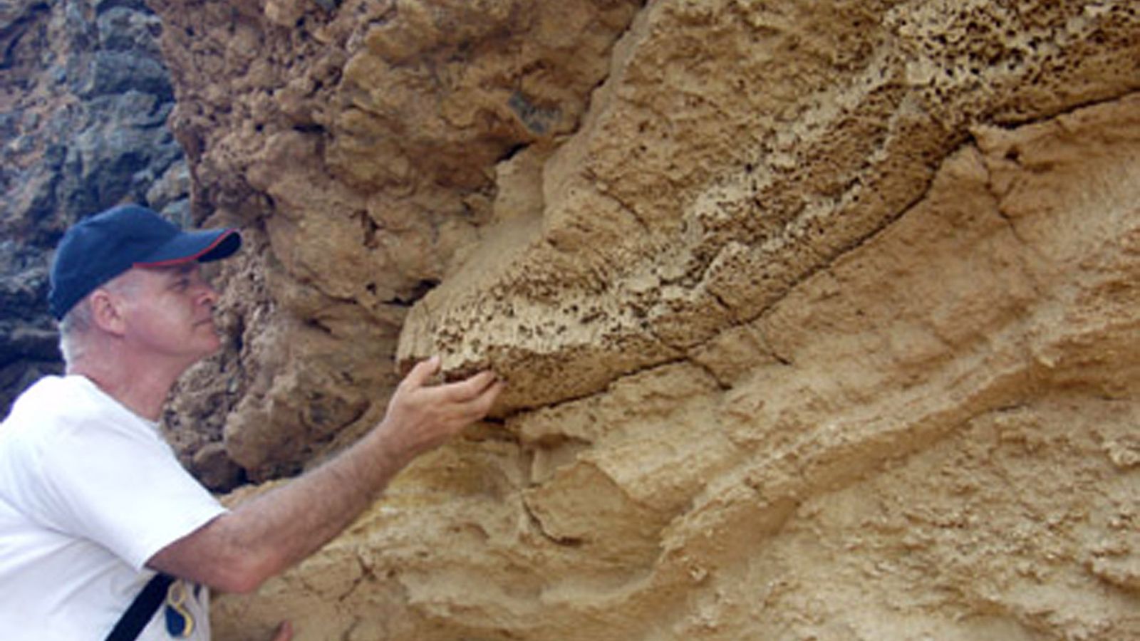 Eduardo Mayoral, catedrático de Paleontología de la Universidad de Huelva.