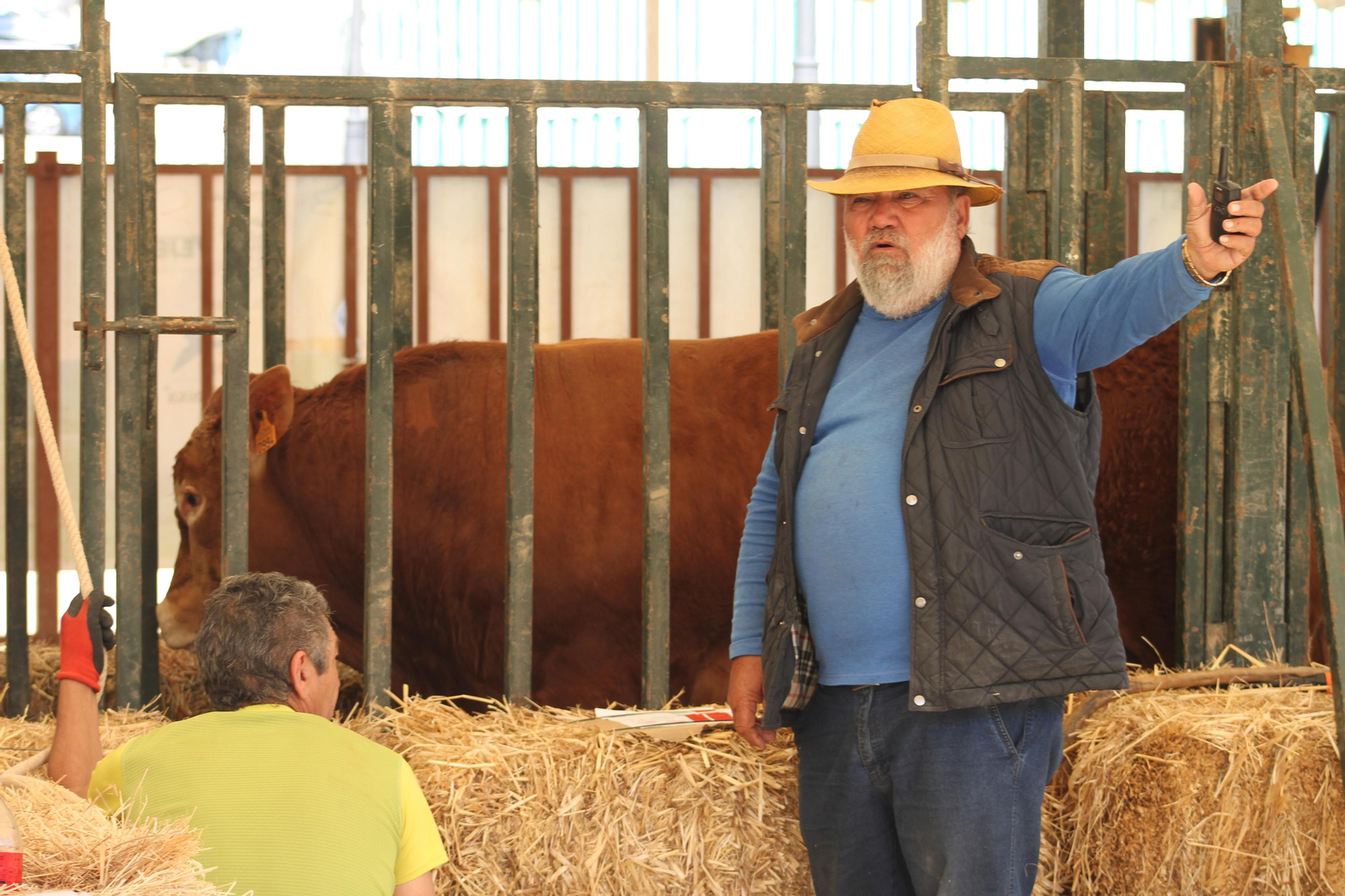 Jueves de feria de Vejer, en imágenes