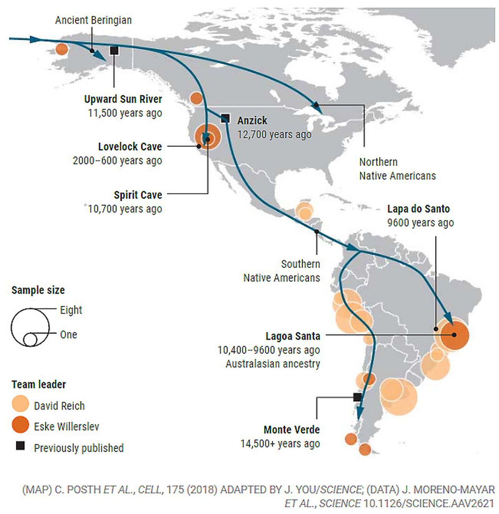 Grandes migraciones en el continente americano