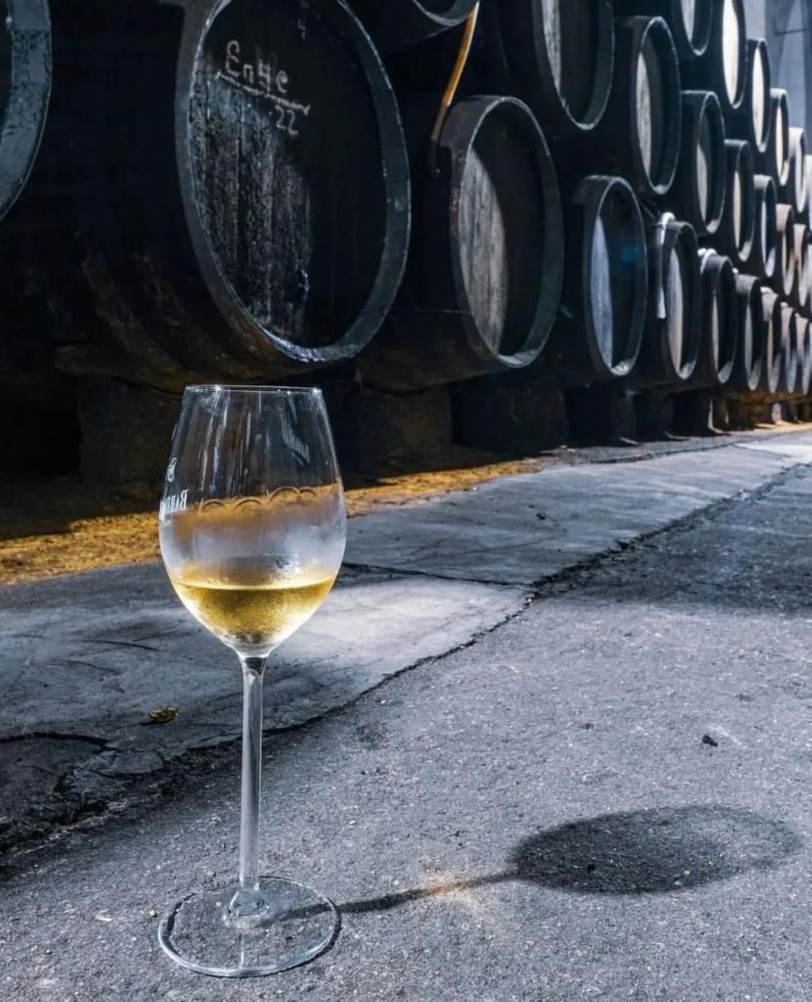 Bodegas Barbadillo, en Sanlúcar.