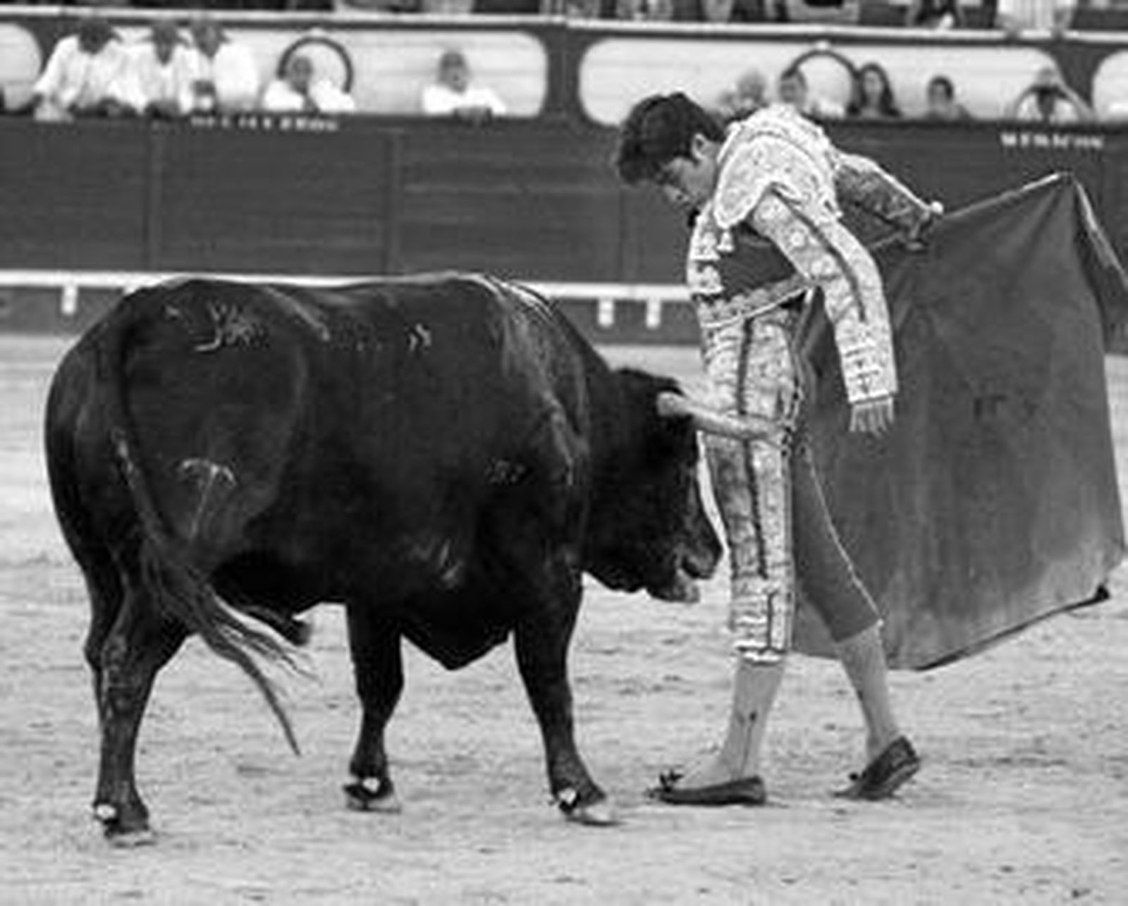 Miguel Ángel Perera malogra un triunfo por la espada