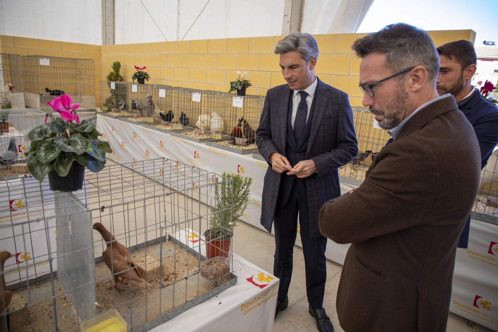 Un paseo en fotografías por Avicor, la Feria Avícola de Córdoba