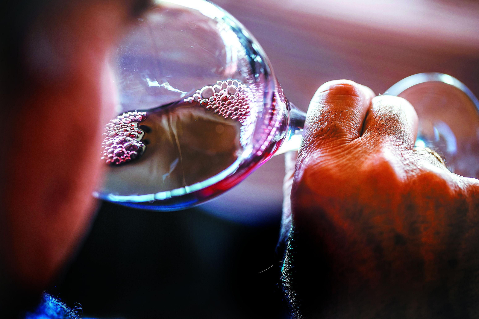 Jerez, escenario del Campeonato de España de cata a ciegas por equipos. Jerez, escenario del Campeonato de España de cata a ciegas por equipos.