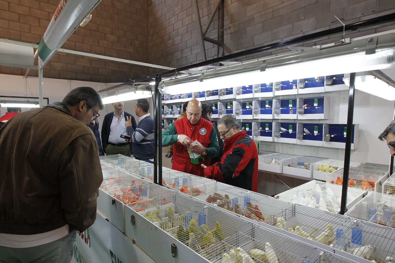 El Campeonato Mundial de Ornitología recibirá a miles de aficionados a las aves