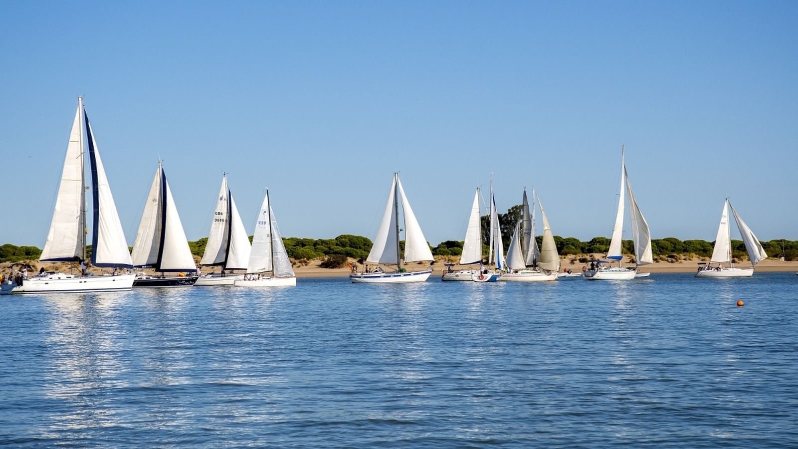 La flota, en acción durante la prueba.