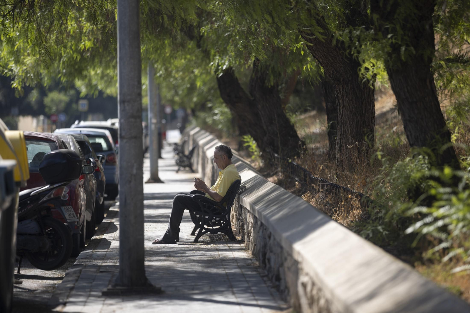 Imágenes del viernes 5 de agosto en Huelva