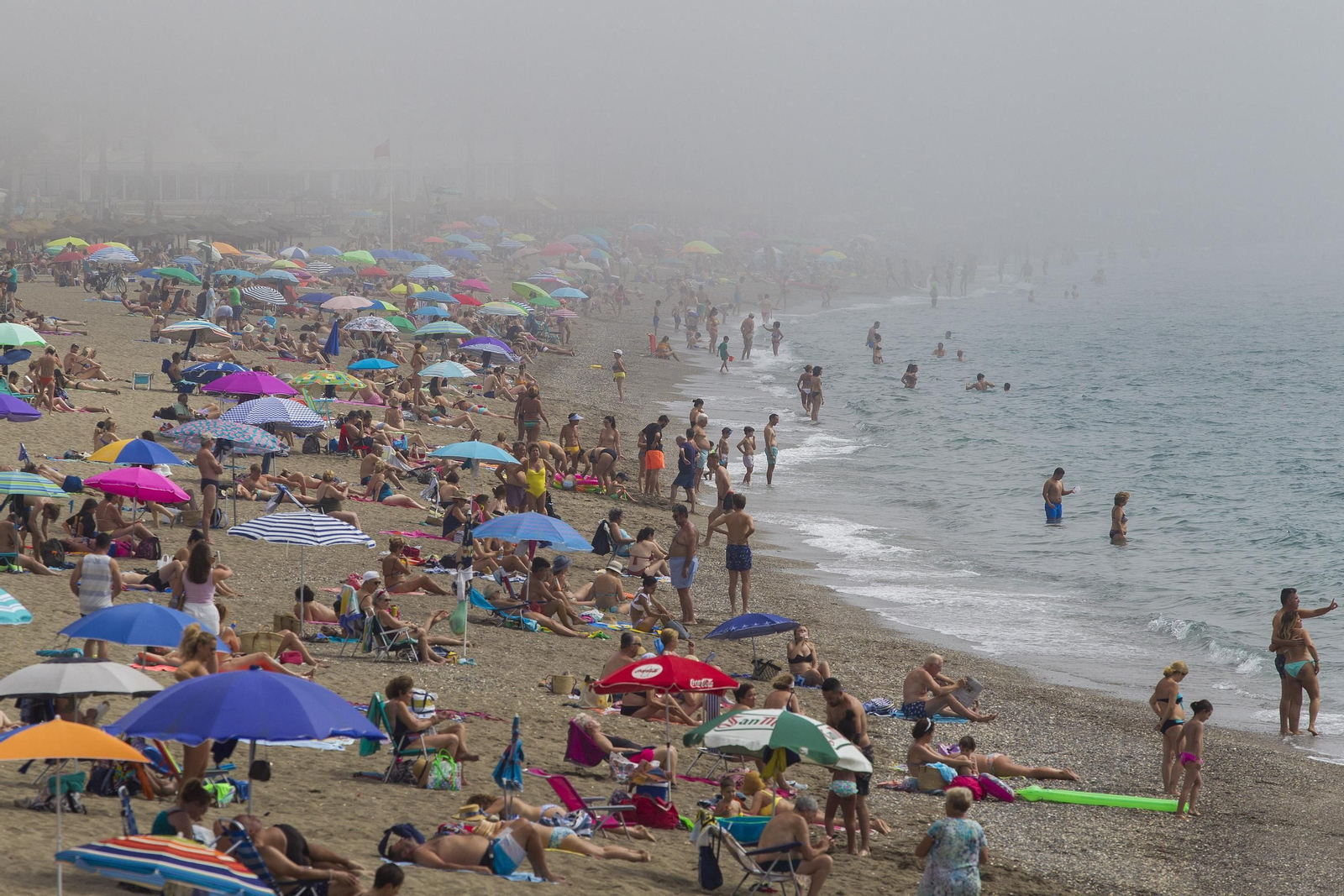 El taró provoca la prohibición del baño en las playas de Málaga, en imágenes