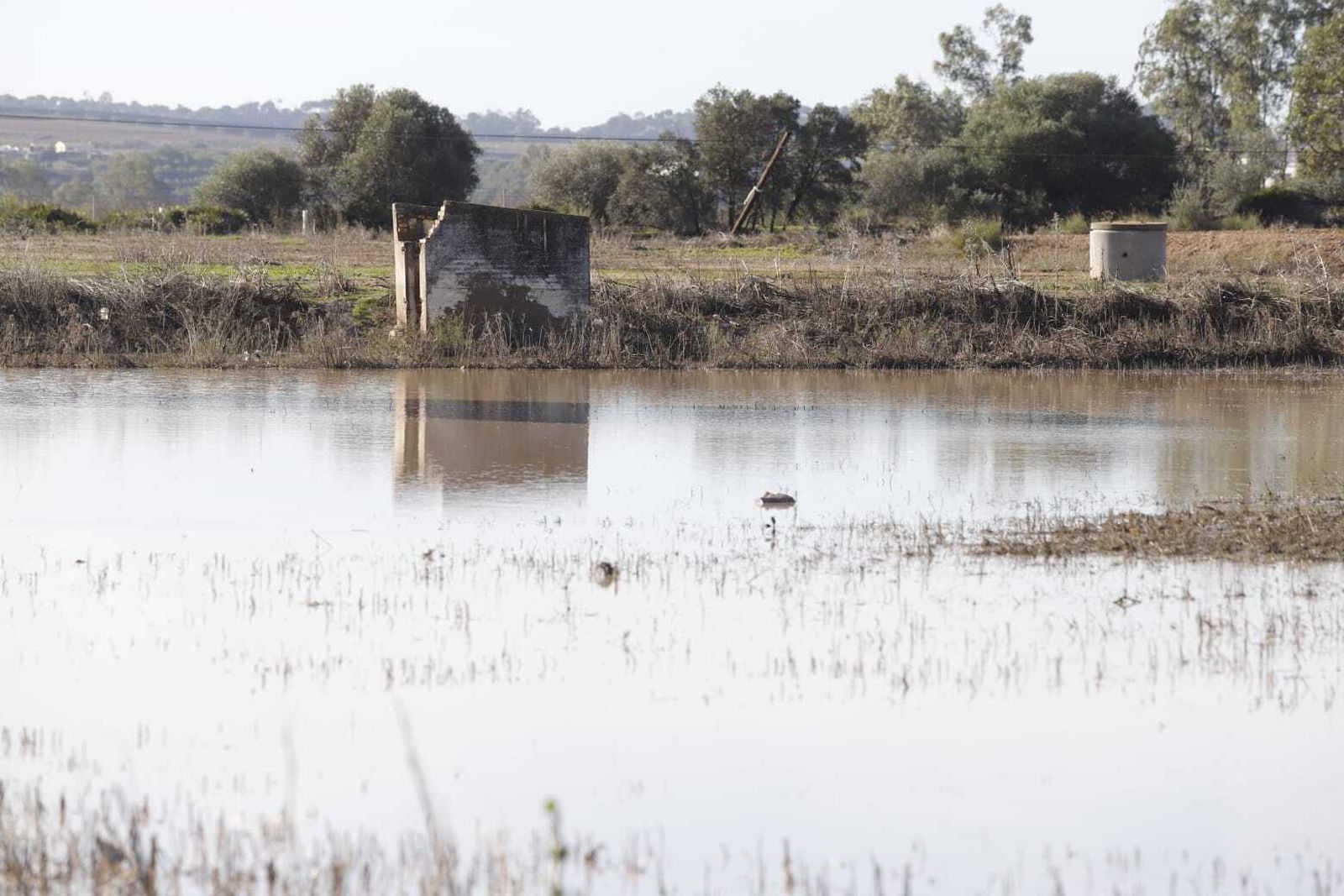Zona inundada en el barrio de Los Palmares.