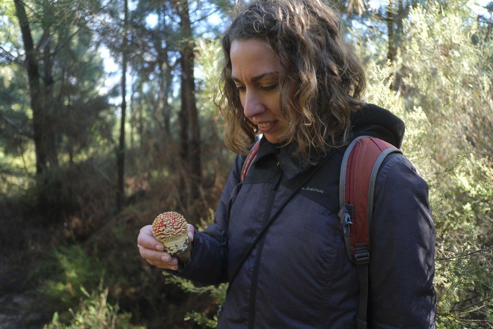Mocología de la Serranía de Ronda, en fotos.