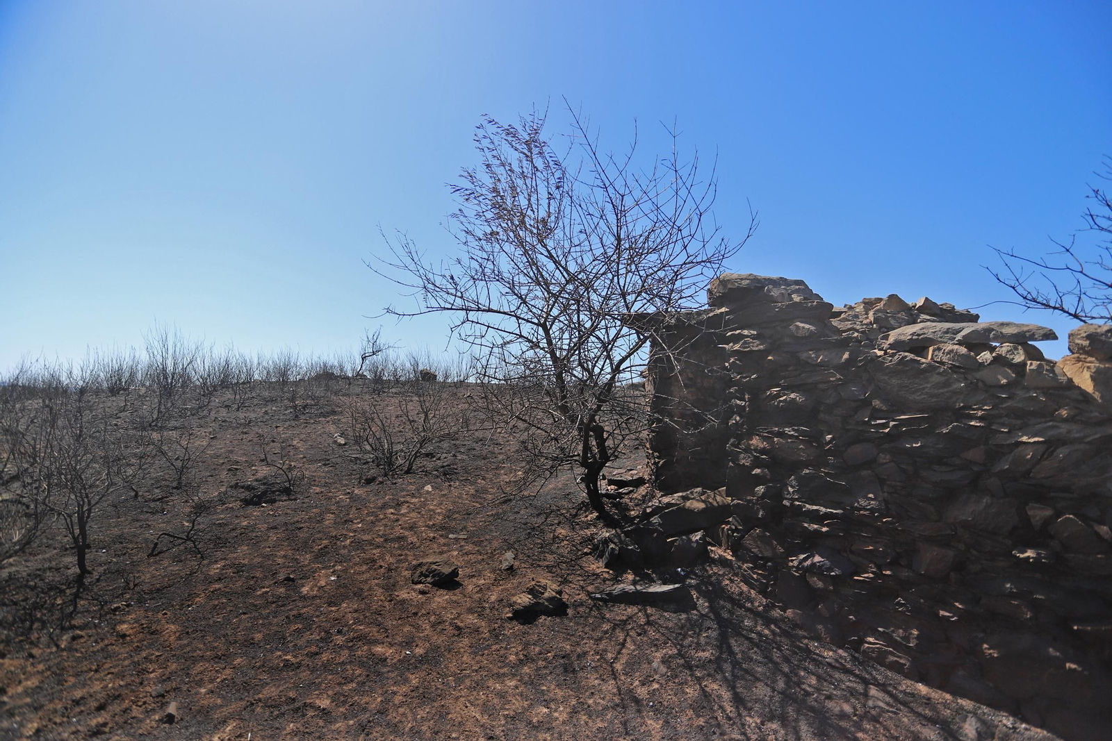 Imágenes de las zonas devastadas por el incendio de Almonaster la Real