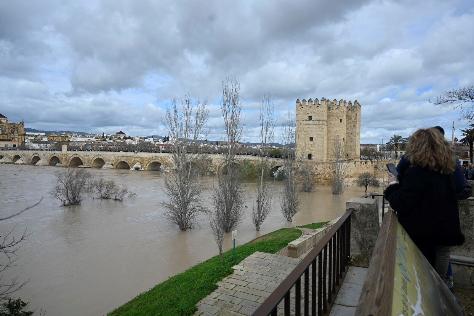 El Puente Romano de Córdoba reabre tras el temporal, en fotos