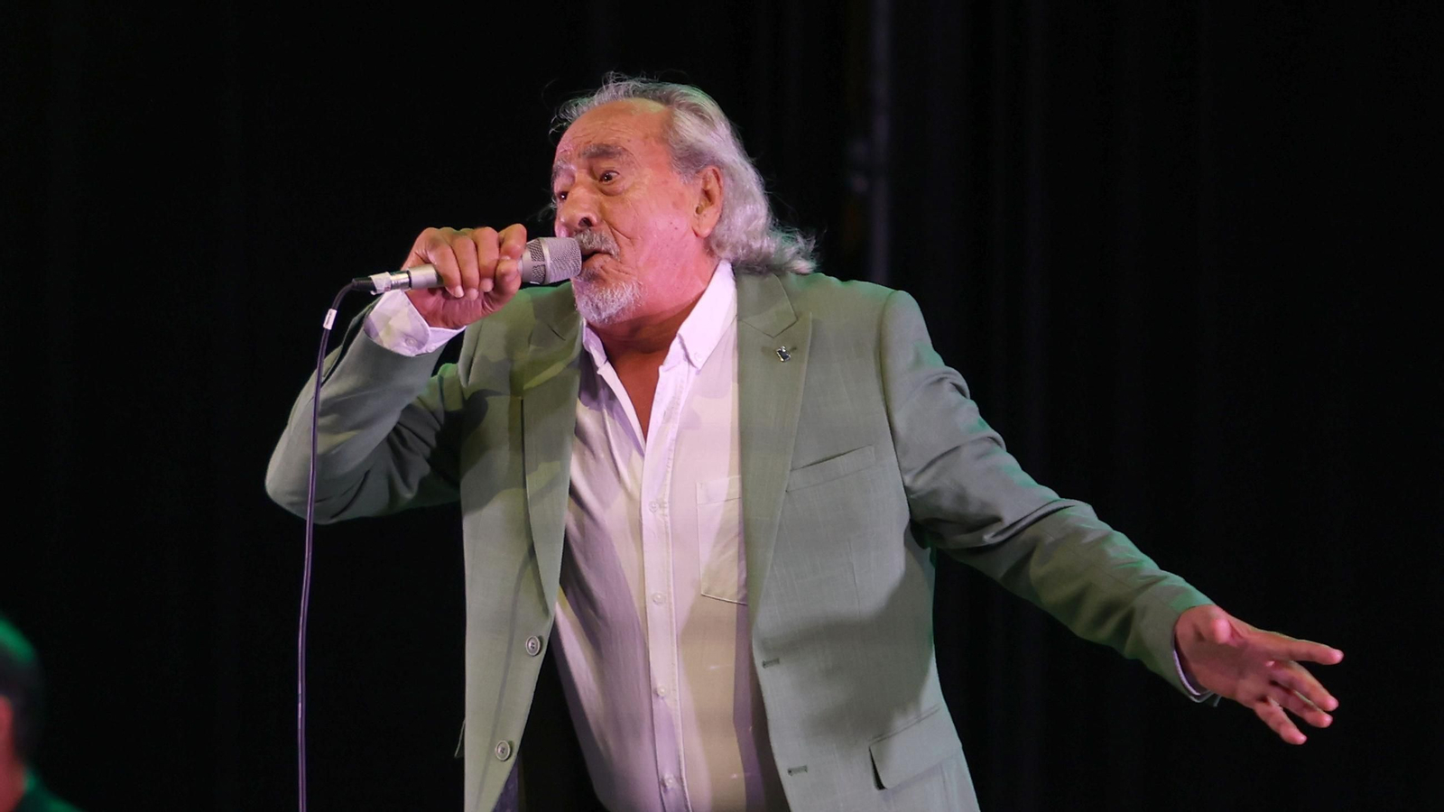 Imágenes de la 58 edición de la Fiesta de la Bulería en Jerez