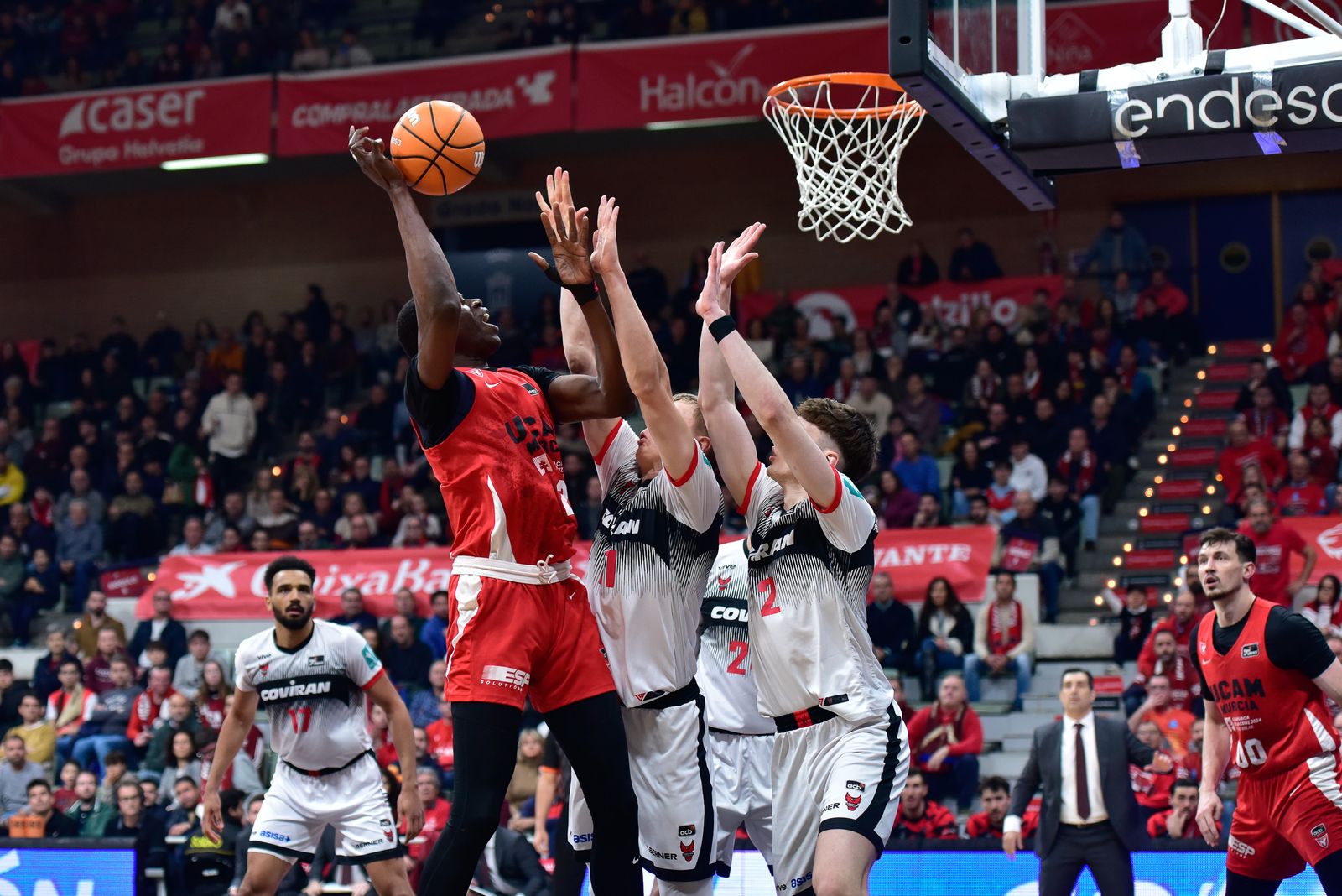 Las mejores imágenes del UCAM Murcia-Covirán Granada