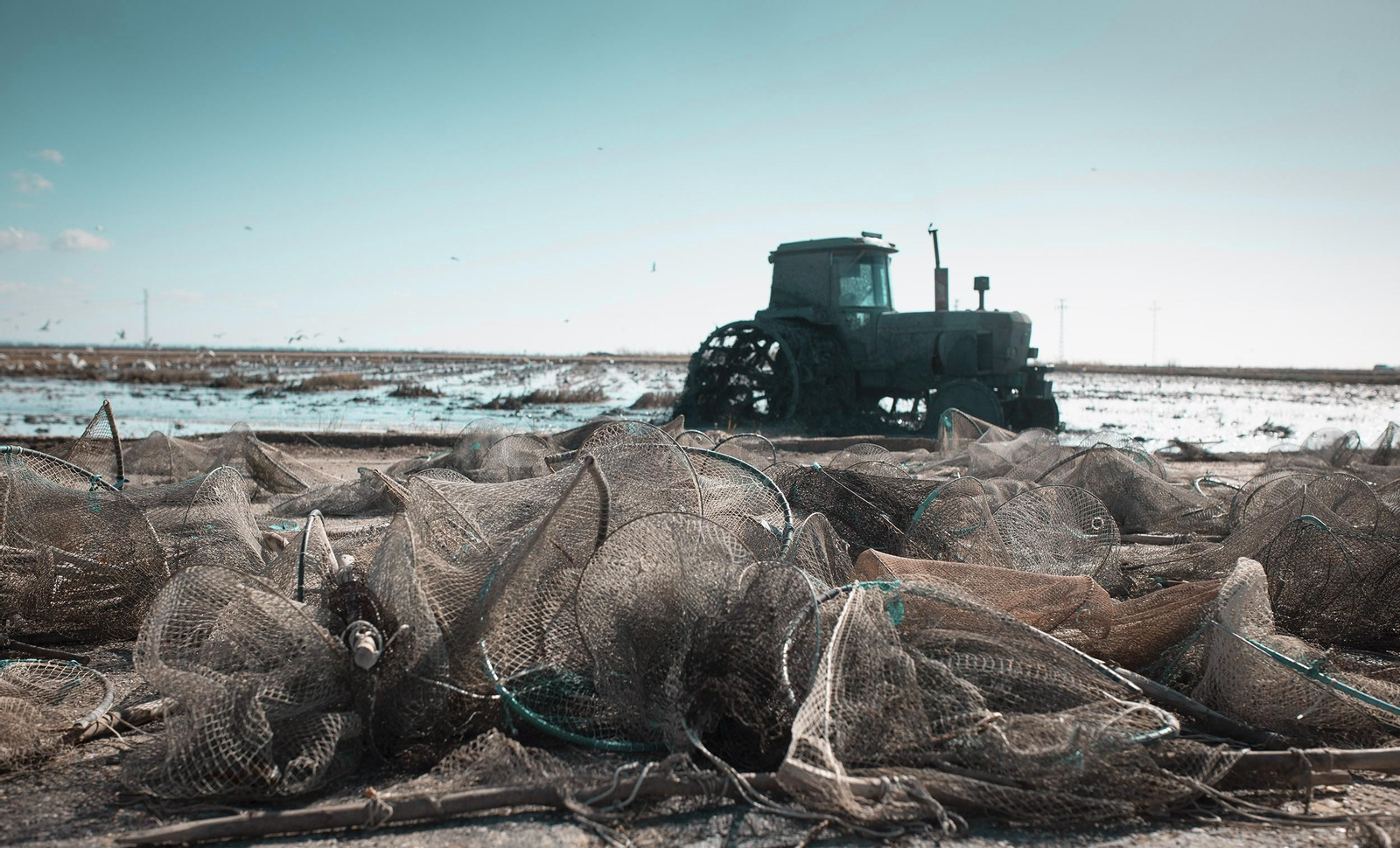 La ruta del arroz, en imágenes