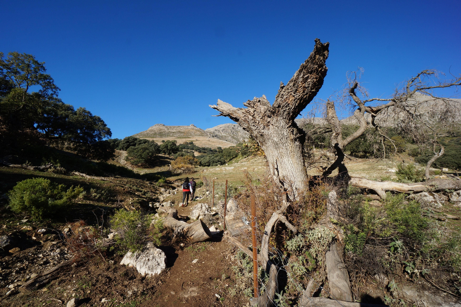 Un recorrido en fotografías de la subida a la Tiñosa, el pico más alto de Córdoba