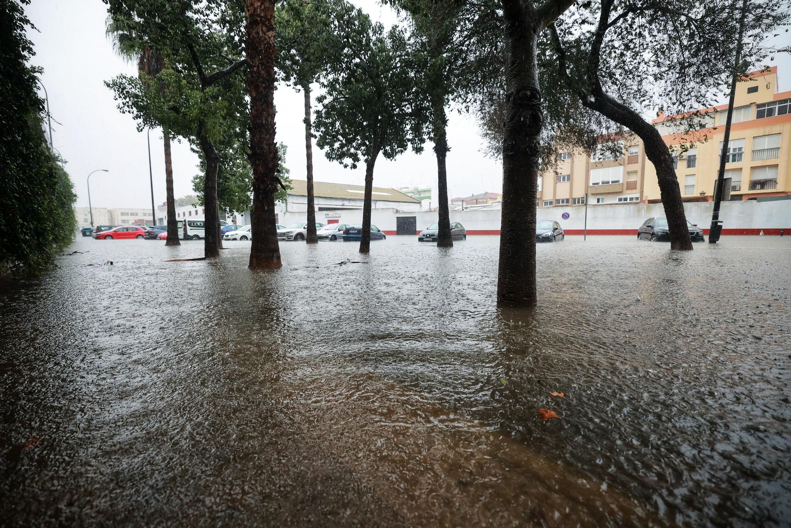 Imágenes de calles inundadas y vecinos achicando agua en San Fernando
