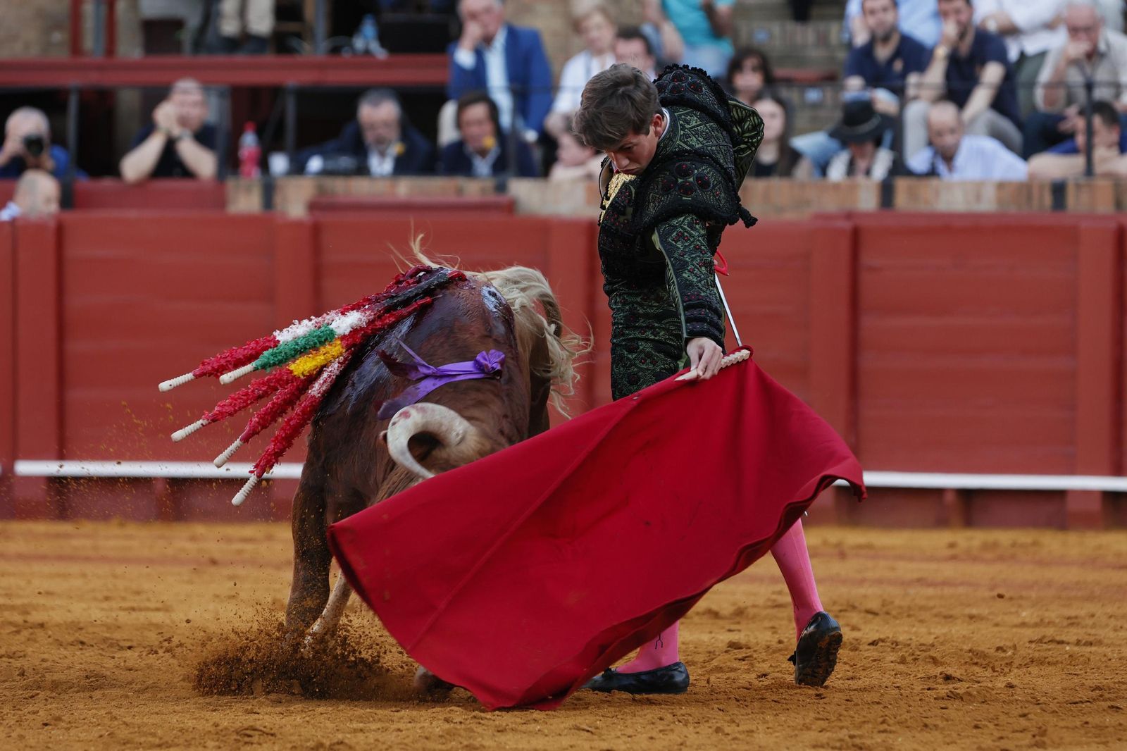 Las imágenes de la Novillada